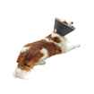 Picture of BUSTER FOAM COLLAR (273331) - 7.5cm/3in