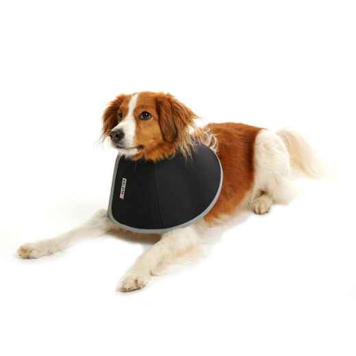 Picture of BUSTER FOAM COLLAR (273331) - 7.5cm/3in