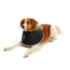 Picture of BUSTER FOAM COLLAR (273331) - 7.5cm/3in