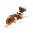 Picture of BUSTER FOAM COLLAR (273332) - 10cm / 4in