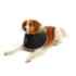 Picture of BUSTER FOAM COLLAR (273332) - 10cm / 4in