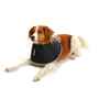 Picture of BUSTER FOAM COLLAR (273336) - 25cm / 10in