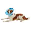 Picture of BUSTER SOFT FLEX COLLAR (273581) - 7.5cm/3in