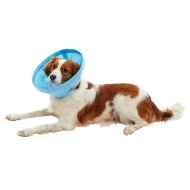 Picture of BUSTER SOFT FLEX COLLAR (273581) - 7.5cm/3in