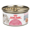 Show details for Royal Canin Mother & Babycat Ultra Soft Mousse 85g Can Picture of Royal Canin Mother & Babycat Ultra Soft Mousse 85g Can