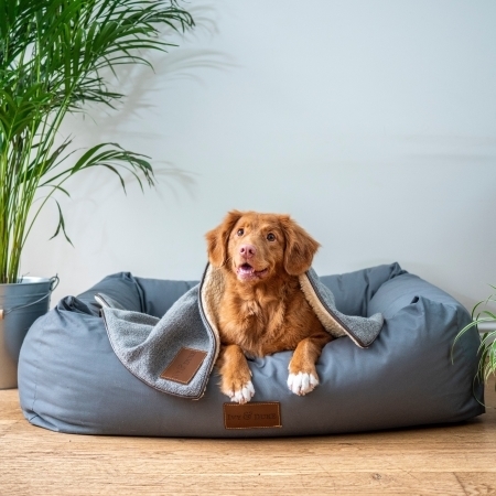 Picture for category Dog Beds