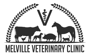 Melville Veterinary Clinic