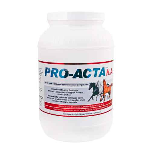 Picture of PRO - ACTA H.A. EQUINE RECOVERY FORMULA - 3kg