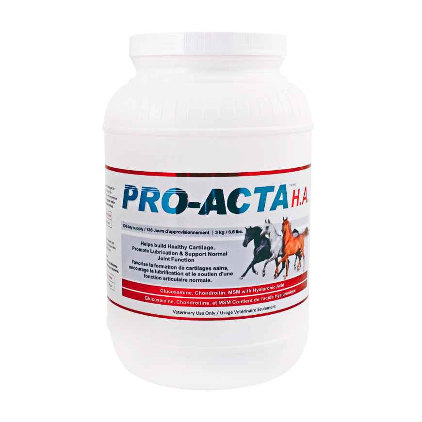 Picture of PRO - ACTA H.A. EQUINE RECOVERY FORMULA - 3kg