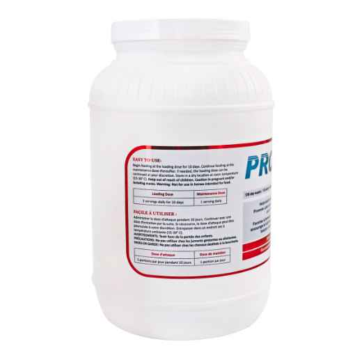 Picture of PRO - ACTA H.A. EQUINE RECOVERY FORMULA - 3kg