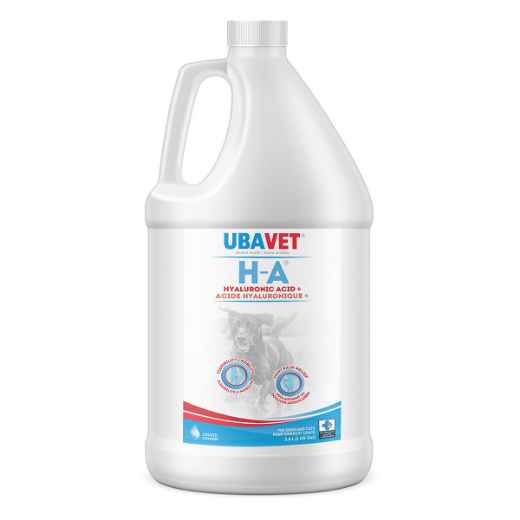 Picture of UBAVET HA (hyaluronic acid) for SMALL ANIMALS - 3.8L