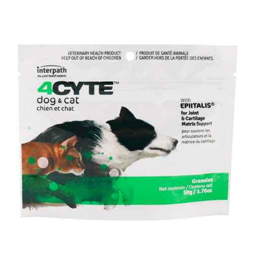 Picture of 4CYTE CANINE/FELINE - 50gm