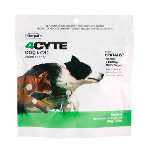 Picture of 4CYTE CANINE/FELINE - 100gm