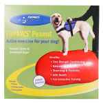 Picture of FITPAWS CANINE CONDITIONING Peanut Yellow 70cm - Kit
