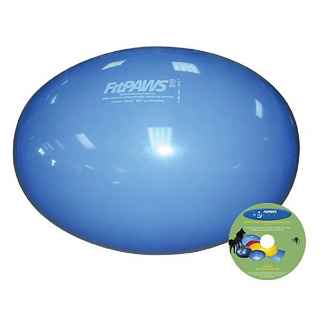 Picture of FITPAWS CANINE CONDITIONING Egg Blue  - 85cm