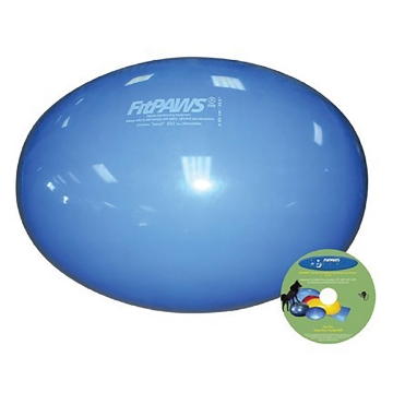 Show details for FITPAWS CANINE CONDITIONING Egg Blue  - 85cm Picture of FITPAWS CANINE CONDITIONING Egg Blue  - 85cm