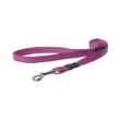 Picture of LEAD CANINE ROGZ UTILITY FANBELT Pink - 3/4in x 6ft