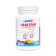 Picture of UBAVET UBASPORT GLUCOSAMINE CHEW TABS - 30's