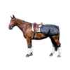 Picture of BACK ON TRACK EQUINE LOIN BLANKET BLACK - 75in