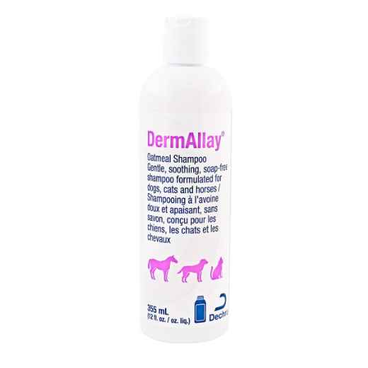 Picture of DERMALLAY OATMEAL SHAMPOO - 355ml