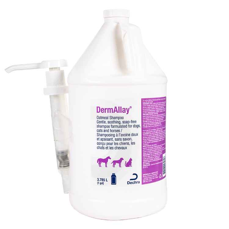 Picture of DERMALLAY OATMEAL SHAMPOO - 3.785lt