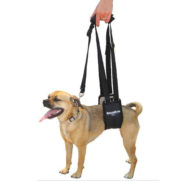 Picture of GINGERLEAD DOG SUPPORT & REHAB HARNESS - Small Female