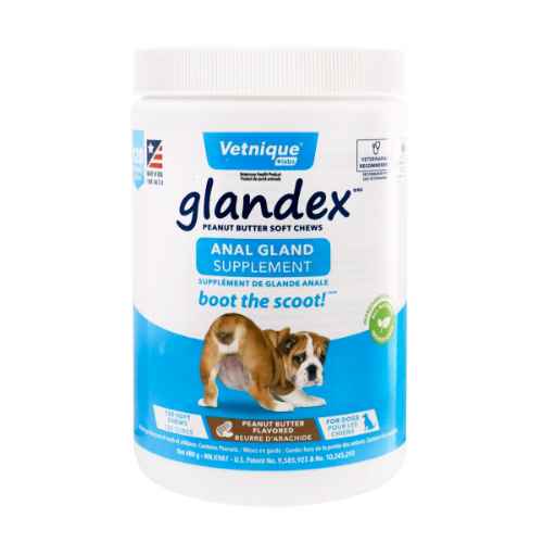 Picture of GLANDEX PEANUT BUTTER CHEWS - 120 COUNT