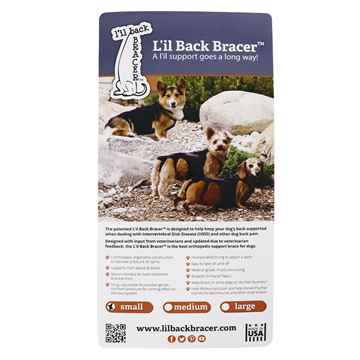 Picture of CANINE LIL BACK BRACER - Small