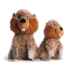 Picture of TOY DOG FABDOG FLUFFY Beaver - Small