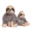 Show details for TOY DOG FABDOG FLUFFY Sloth - Small Picture of TOY DOG FABDOG FLUFFY Sloth - Small