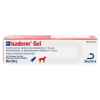 Picture of ISADERM GEL - 30gm