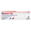 Picture of ISADERM GEL - 30gm