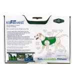 Picture of FITPAWS CANINE FITVEST Green - Medium