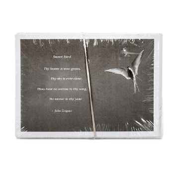 Show details for HUGBUG BIRD SYMPATHY CARDS w/ SENTIMENT - 10/pk Picture of HUGBUG BIRD SYMPATHY CARDS w/ SENTIMENT - 10/pk