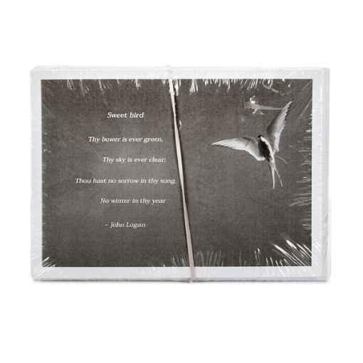 Picture of HUGBUG BIRD SYMPATHY CARDS w/ SENTIMENT - 10/pk