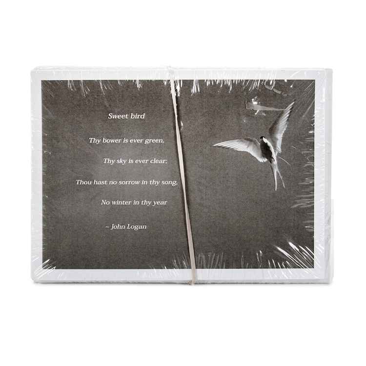 Picture of HUGBUG BIRD SYMPATHY CARDS w/ SENTIMENT - 10/pk