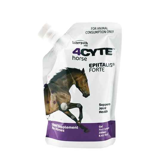 Picture of 4CYTE HORSE EPIITALIS FORTE GEL - 250 ml