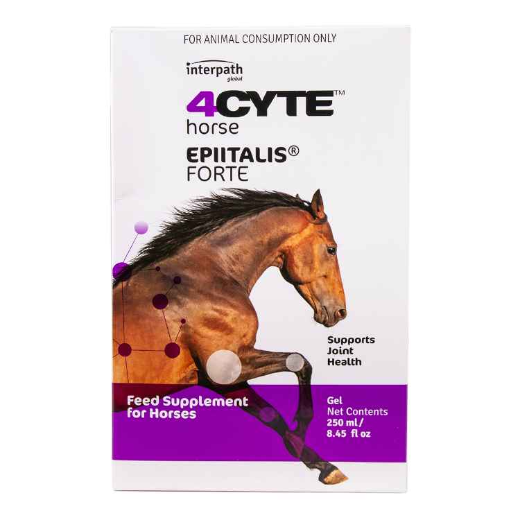 Picture of 4CYTE HORSE EPIITALIS FORTE GEL - 250 ml