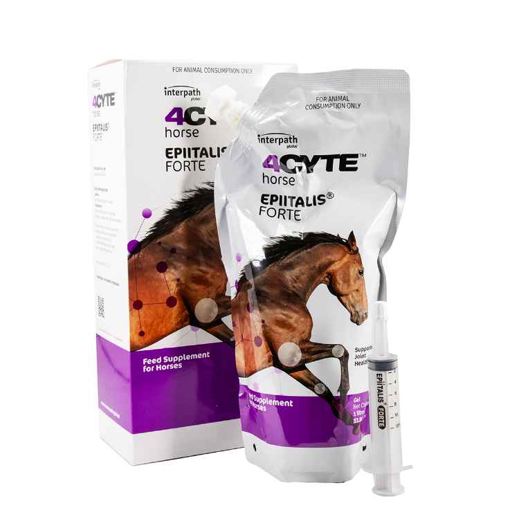 Picture of 4CYTE HORSE EPIITALIS FORTE GEL - 1 Litre