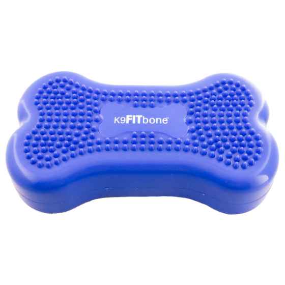 Picture of FITPAWS CANINE FITBone Mini Blue - 2/pack