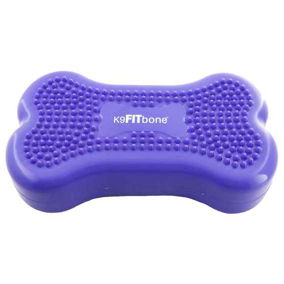 Picture of FITPAWS CANINE FITBone Mini Blue - 2/pack