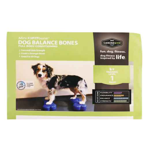 Picture of FITPAWS CANINE FITBone Mini Blue - 2/pack