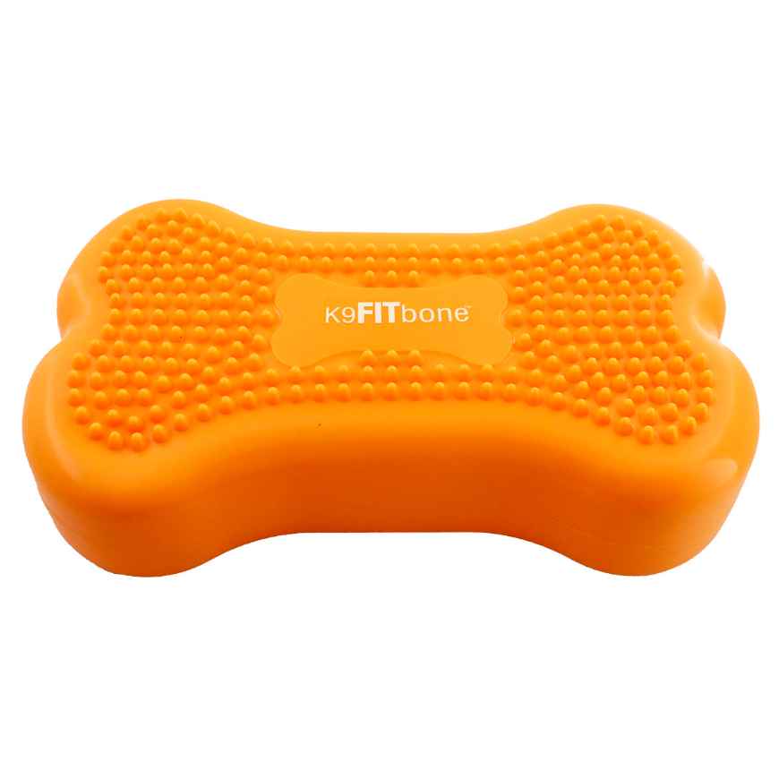 Picture of FITPAWS CANINE FITBone Mini Mango- 2/pack