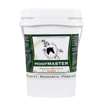 Show details for HOOFMASTER PELLETS 4kg Picture of HOOFMASTER PELLETS 4kg