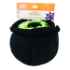 Picture of HALLOWEEN TOY CANINE ZIPPYPAWS BURROW - Witches Brew with 3 Squeaky Potions