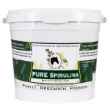 Picture of PURE SPIRULINA BLUE GREEN ALGAE - 1kg