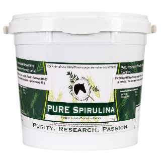 Picture of PURE SPIRULINA BLUE GREEN ALGAE - 1kg