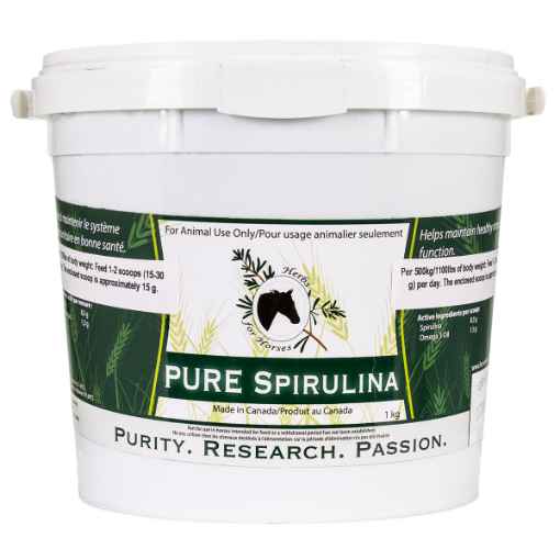 Picture of PURE SPIRULINA BLUE GREEN ALGAE - 1kg