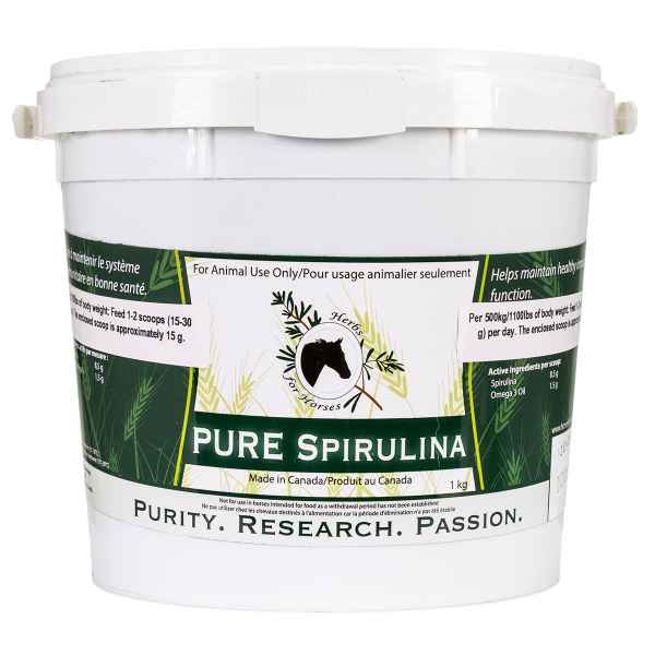 Picture of PURE SPIRULINA BLUE GREEN ALGAE - 1kg
