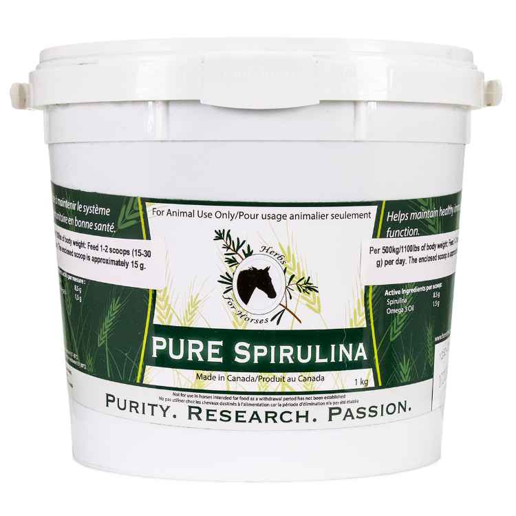 Picture of PURE SPIRULINA BLUE GREEN ALGAE - 1kg